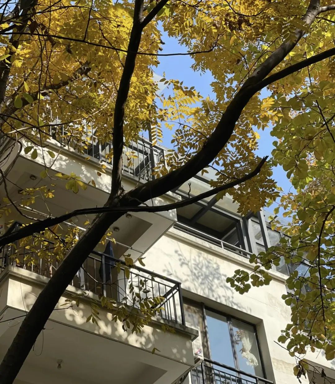 Chuyển từ căn hộ 90m² sang 180m², sống 8 năm rồi quay về - tôi nhận ra nhà rộng không khiến cuộc sống tốt hơn- Ảnh 6.