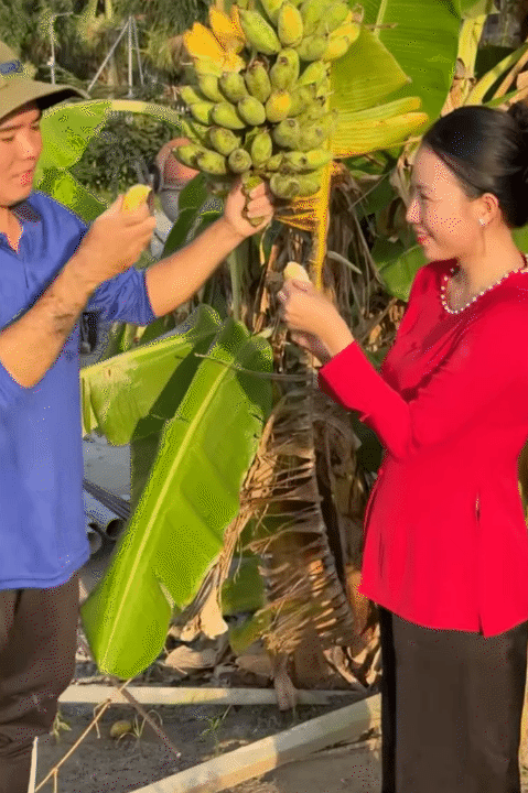 Bỏ phố về qu&ecirc;, vợ chồng miền T&acirc;y biến mảnh đất 3.000m2 kh&ocirc; cằn th&agrave;nh khu vườn được quy hoạch thẳng tắp như 