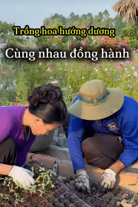 Bỏ phố về qu&ecirc;, vợ chồng miền T&acirc;y biến mảnh đất 3.000m2 kh&ocirc; cằn th&agrave;nh khu vườn được quy hoạch thẳng tắp như 