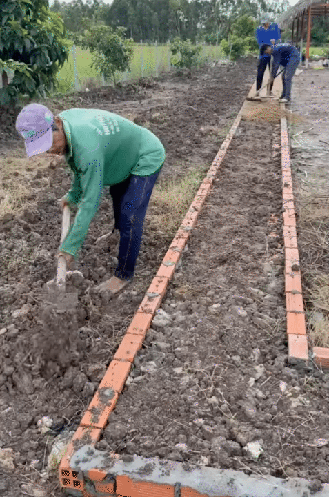 Bỏ phố về qu&ecirc;, vợ chồng miền T&acirc;y biến mảnh đất 3.000m2 kh&ocirc; cằn th&agrave;nh khu vườn được quy hoạch thẳng tắp như 