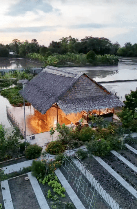 Bỏ phố về qu&ecirc;, vợ chồng miền T&acirc;y biến mảnh đất 3.000m2 kh&ocirc; cằn th&agrave;nh khu vườn được quy hoạch thẳng tắp như 