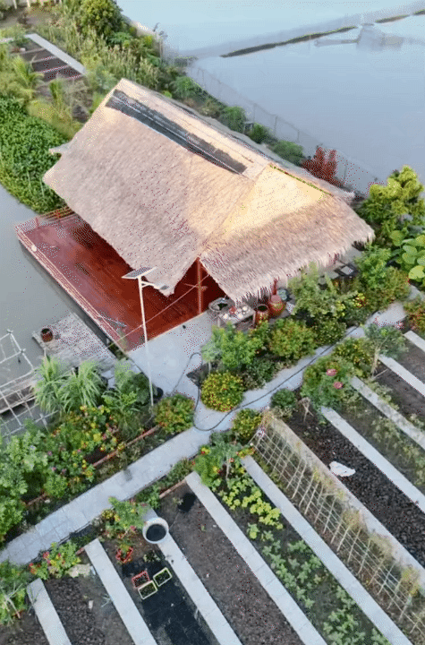 Bỏ phố về qu&ecirc;, vợ chồng miền T&acirc;y biến mảnh đất 3.000m2 kh&ocirc; cằn th&agrave;nh khu vườn được quy hoạch thẳng tắp như 