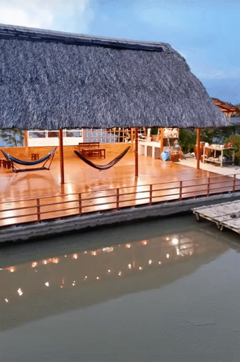 Bỏ phố về qu&ecirc;, vợ chồng miền T&acirc;y biến mảnh đất 3.000m2 kh&ocirc; cằn th&agrave;nh khu vườn được quy hoạch thẳng tắp như 