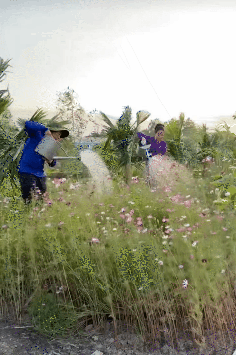 Bỏ phố về qu&ecirc;, vợ chồng miền T&acirc;y biến mảnh đất 3.000m2 kh&ocirc; cằn th&agrave;nh khu vườn được quy hoạch thẳng tắp như 