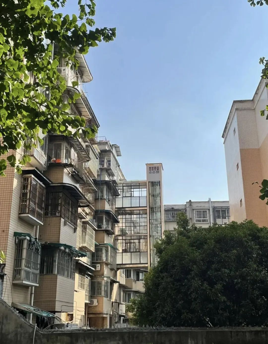 Chuyển từ căn hộ 90m² sang 180m², sống 8 năm rồi quay về - tôi nhận ra nhà rộng không khiến cuộc sống tốt hơn- Ảnh 4.