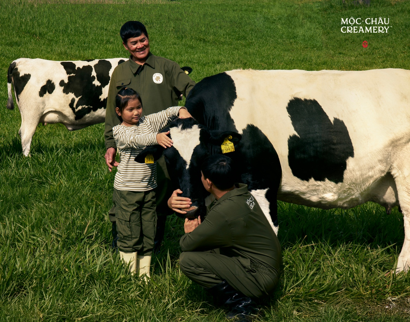 Chính thức ra mắt thương hiệu cao cấp Mộc Châu Creamery- Ảnh 4. Chính thức ra mắt thương hiệu cao cấp Mộc Châu Creamery- Ảnh 4.