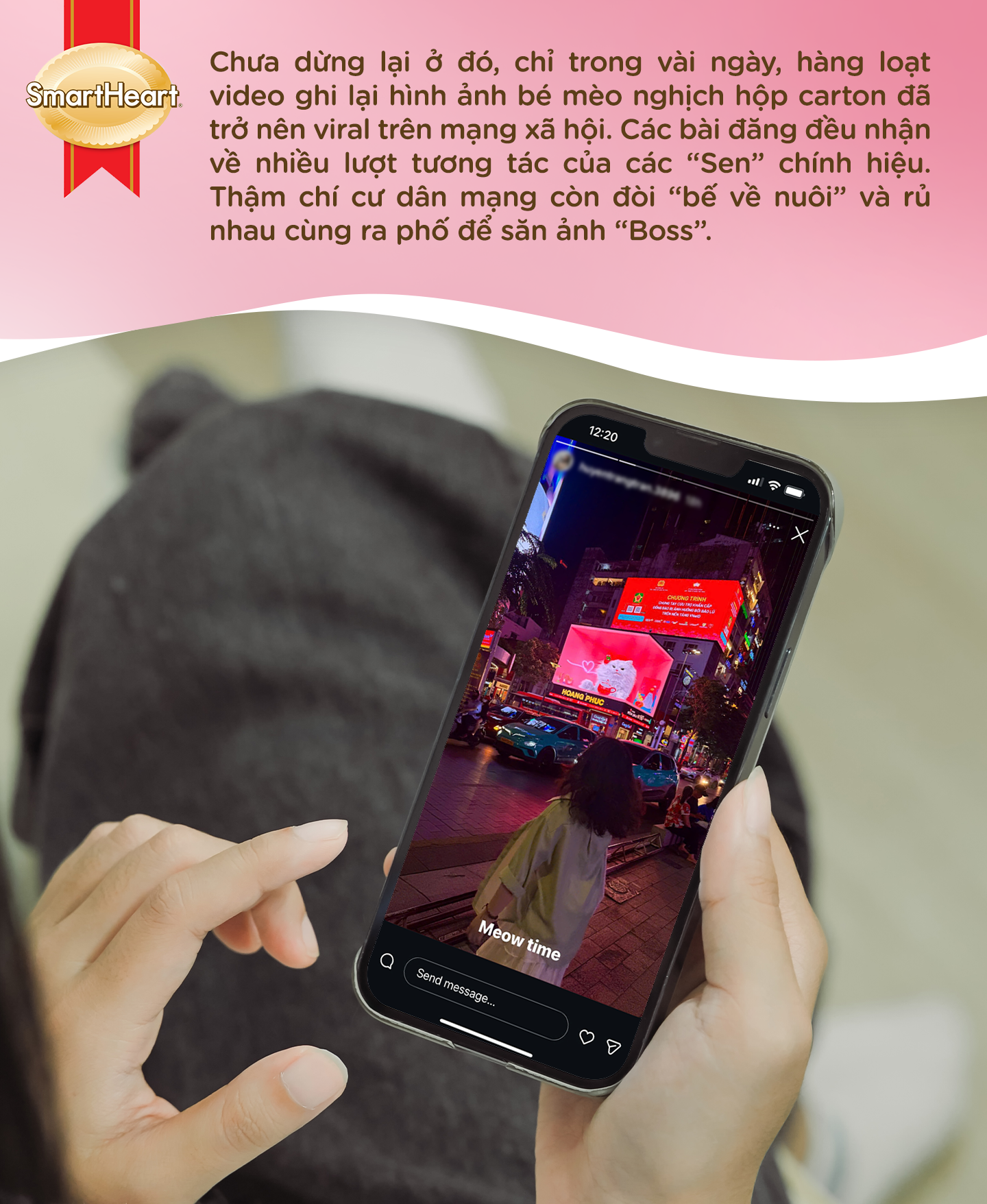 Cộng đồng "Sen" thích thú với bé mèo 3D thông minh, đáng yêu y hệt "Boss" nhà mình- Ảnh 3.