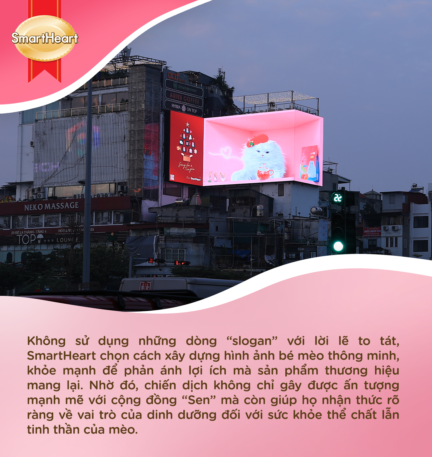 Cộng đồng "Sen" thích thú với bé mèo 3D thông minh, đáng yêu y hệt "Boss" nhà mình- Ảnh 4.