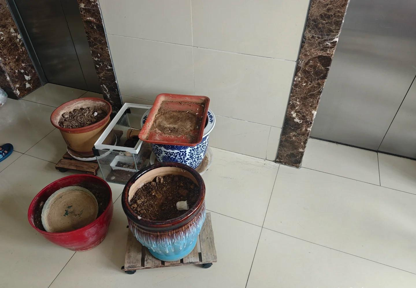 Thức tỉnh ở tuổi trung niên: 10 việc nhà chính chúng ta tự tạo ra - bỏ đi là thấy cuộc sống nhẹ hẳn- Ảnh 9.