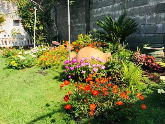 Hoàng Minh LS & Phú Cường – Đồng hành cùng phát triển đô thị xanh- Ảnh 2.