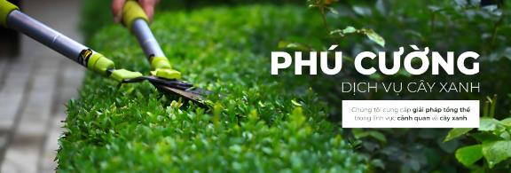 Hoàng Minh LS & Phú Cường – Đồng hành cùng phát triển đô thị xanh- Ảnh 4.