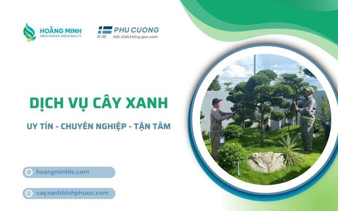 Hoàng Minh LS & Phú Cường – Đồng hành cùng phát triển đô thị xanh- Ảnh 1.