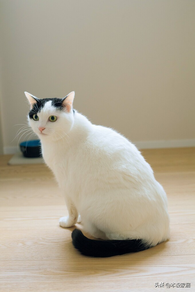 Ở tuổi 38 sống một mình trong căn hộ 47m², cô gái gây “choáng” vì nhà quá sạch - cuộc sống thư thái bất ngờ- Ảnh 3.