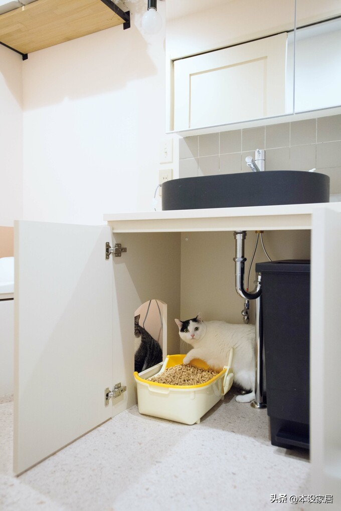 Ở tuổi 38 sống một mình trong căn hộ 47m², cô gái gây “choáng” vì nhà quá sạch - cuộc sống thư thái bất ngờ- Ảnh 16.