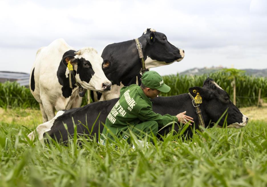 Tại sao một thương hiệu sữa tươi lại dành gần 10 năm chỉ để nghiên cứu… oxy?- Ảnh 2.