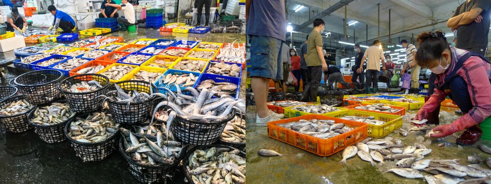 Nhờ học mẹ 6 cách "soi" giá chợ, tôi tránh được cảnh "đồ rẻ mua đắt, đồ đắt lại tưởng rẻ"- Ảnh 5.