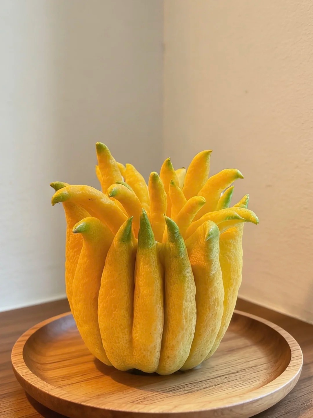 Tết này hội "nghiện nhà" đang săn lùng loại quả đẹp như tranh, thơm lừng cả tháng lại mang ý nghĩa đại cát- Ảnh 8.