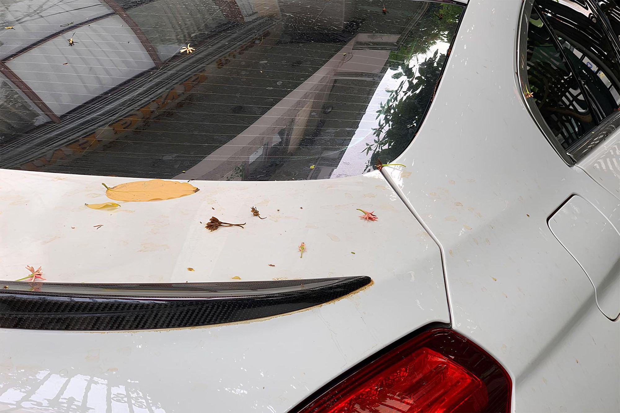 Dán PPF ô tô: Giải pháp bảo vệ sơn xe cao cấp từ QUAD Film USA- Ảnh 1.