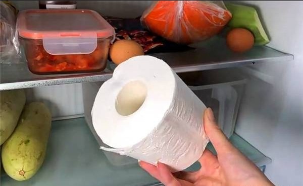 Người thông minh đặt 1 cuộn giấy vệ sinh vào tủ lạnh- Ảnh 1.