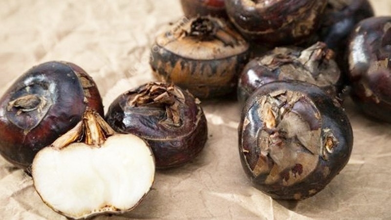 Củ năng - loại củ xấu xí quen thuộc nhưng ít người biết, ăn đều có thể mang lại 5 lợi ích cho cơ thể- Ảnh 1.