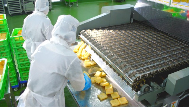 Kowa - Thương hiệu Nhật Bản đầu tư nhà máy thực phẩm triệu đô tại Việt Nam- Ảnh 1.