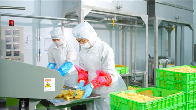 Kowa - Thương hiệu Nhật Bản đầu tư nhà máy thực phẩm triệu đô tại Việt Nam- Ảnh 2.