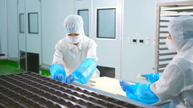 Kowa - Thương hiệu Nhật Bản đầu tư nhà máy thực phẩm triệu đô tại Việt Nam- Ảnh 4.