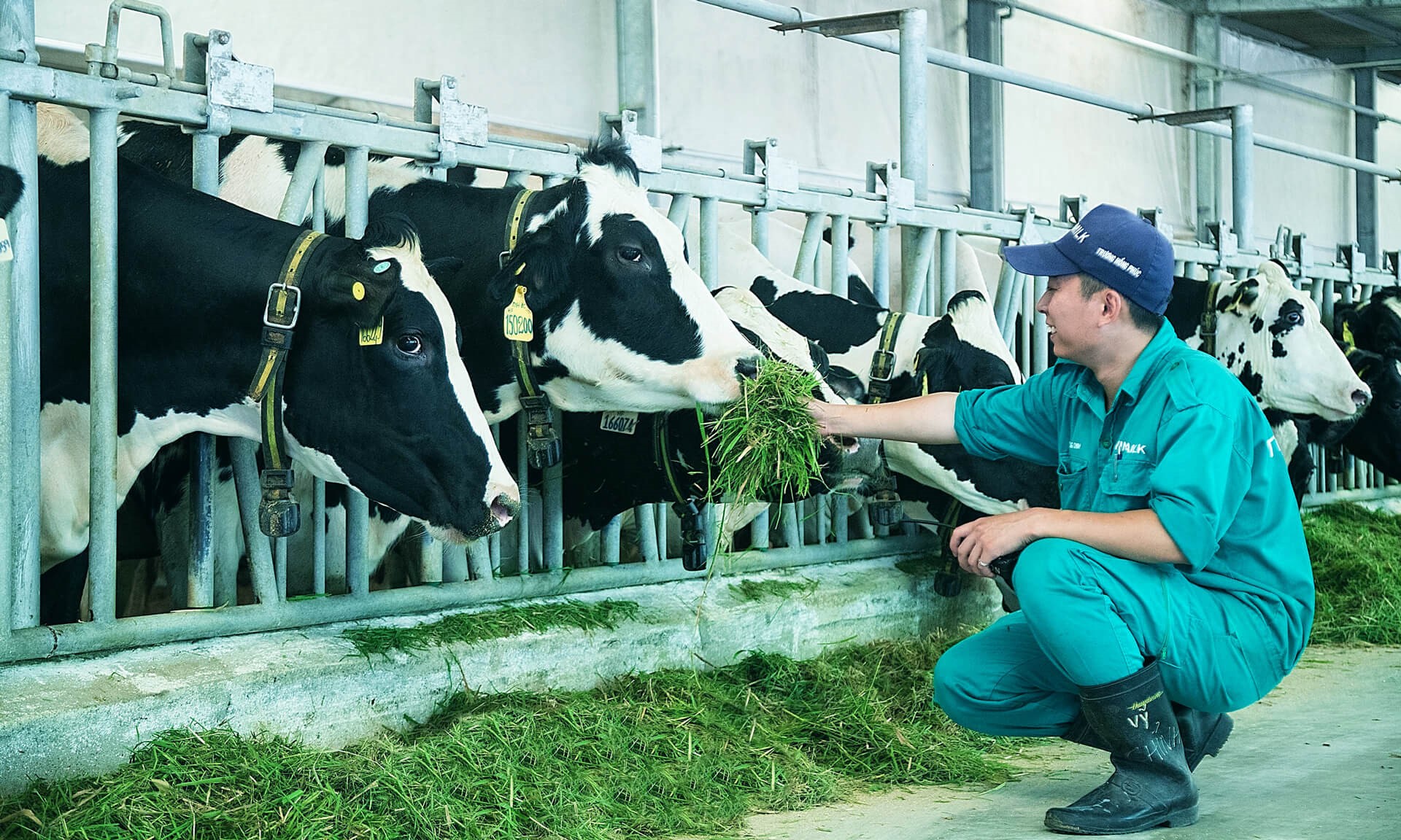 Sản phẩm sữa tươi duy nhất của Việt Nam đạt bộ đôi chứng nhận và giải thưởng danh giá- Ảnh 2.