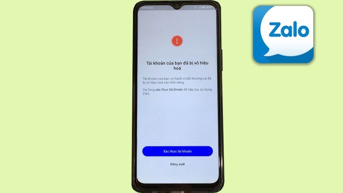 Vì sao Ủy ban Cạnh tranh quốc gia mời Zalo làm việc?- Ảnh 1.