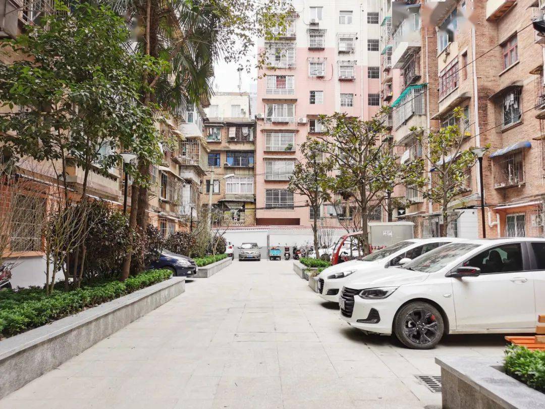 Tôi bán căn hộ 5 tỷ để về ở nhà cũ 1,8 tỷ: Hóa ra đẳng cấp không nằm ở độ cao như tôi tưởng- Ảnh 3.