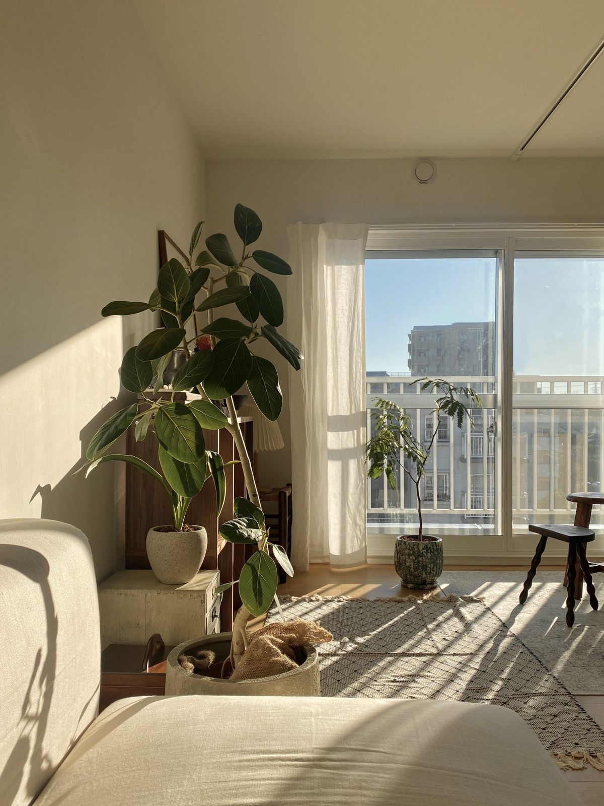 Ngày đầu năm 2026: Làm 3 việc này để kích hoạt tài lộc – nhà sáng vía, người sáng tiền- Ảnh 2.