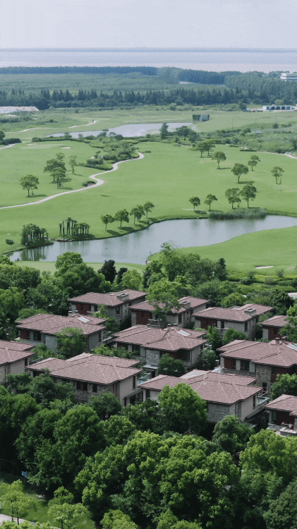 Bán nhà phố, cặp vợ chồng trung niên chuyển ra ngoại ô ở nhà 360m²: Giảm chi phí sống, làm 4 giờ/ngày vẫn đủ đầy- Ảnh 6.