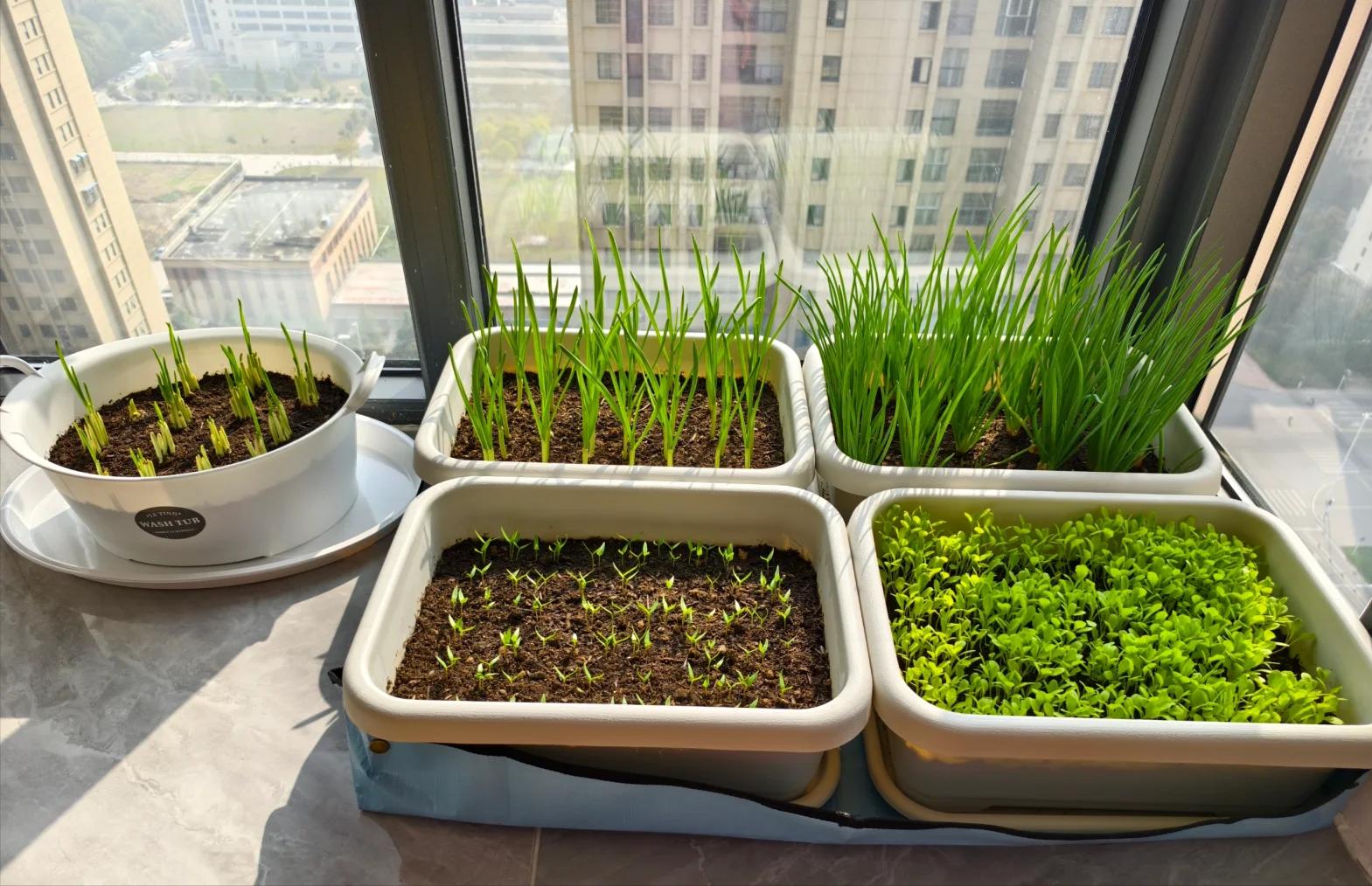 Ngôi nhà bình yên của người phụ nữ 60 tuổi: Đơn giản nhưng càng nhìn càng muốn ở lại- Ảnh 4.