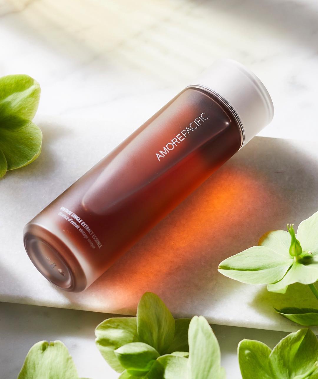 5 lọ "nước thần" chống lão hóa, làm sáng da đáng dùng tới từng giọt- Ảnh 1.