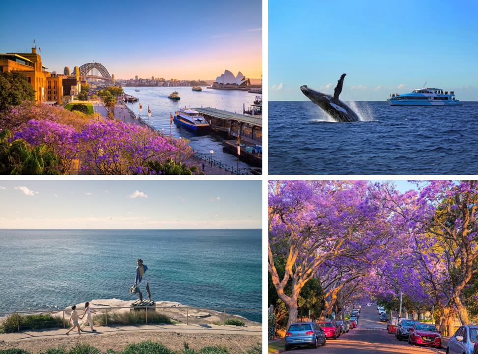 7 trải nghiệm nên thử ở Sydney khiến du khách Việt say lòng- Ảnh 4. 7 trải nghiệm nên thử ở Sydney khiến du khách Việt say lòng- Ảnh 4.