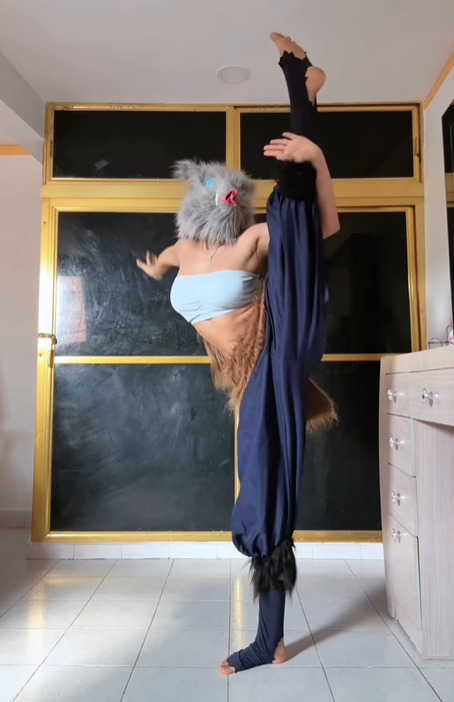 photo-1765031868532 photo-1765031868532