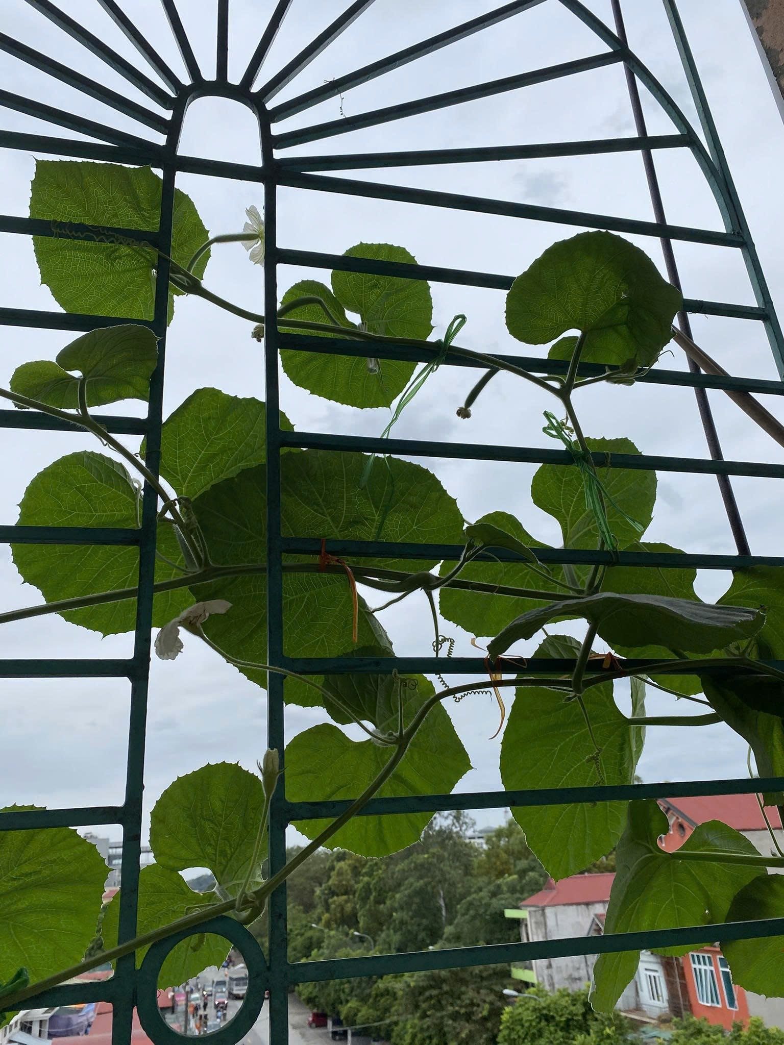 Vợ chồng bán hoa quả Hà Nội sống siêu tiết kiệm, gom từng đồng mua vàng: Có đáng đánh đổi cả niềm vui sống?- Ảnh 3. Vợ chồng bán hoa quả Hà Nội sống siêu tiết kiệm, gom từng đồng mua vàng: Có đáng đánh đổi cả niềm vui sống?- Ảnh 3.