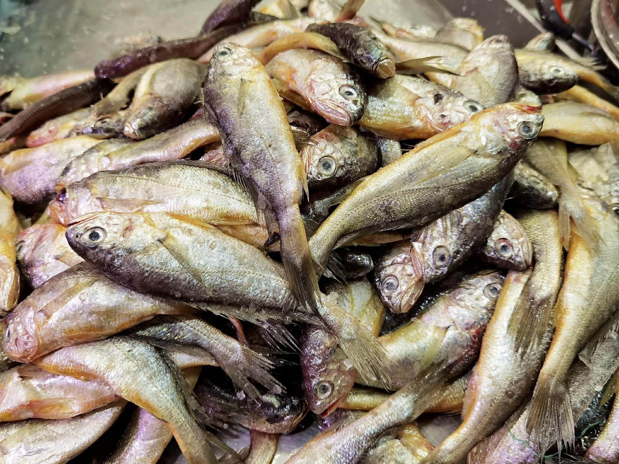 4 loại cá ngon nhất lúc này dùng nấu 4 món ăn cực thỏa mãn vị giác lại tốt để bồi bổ sức khỏe- Ảnh 9.