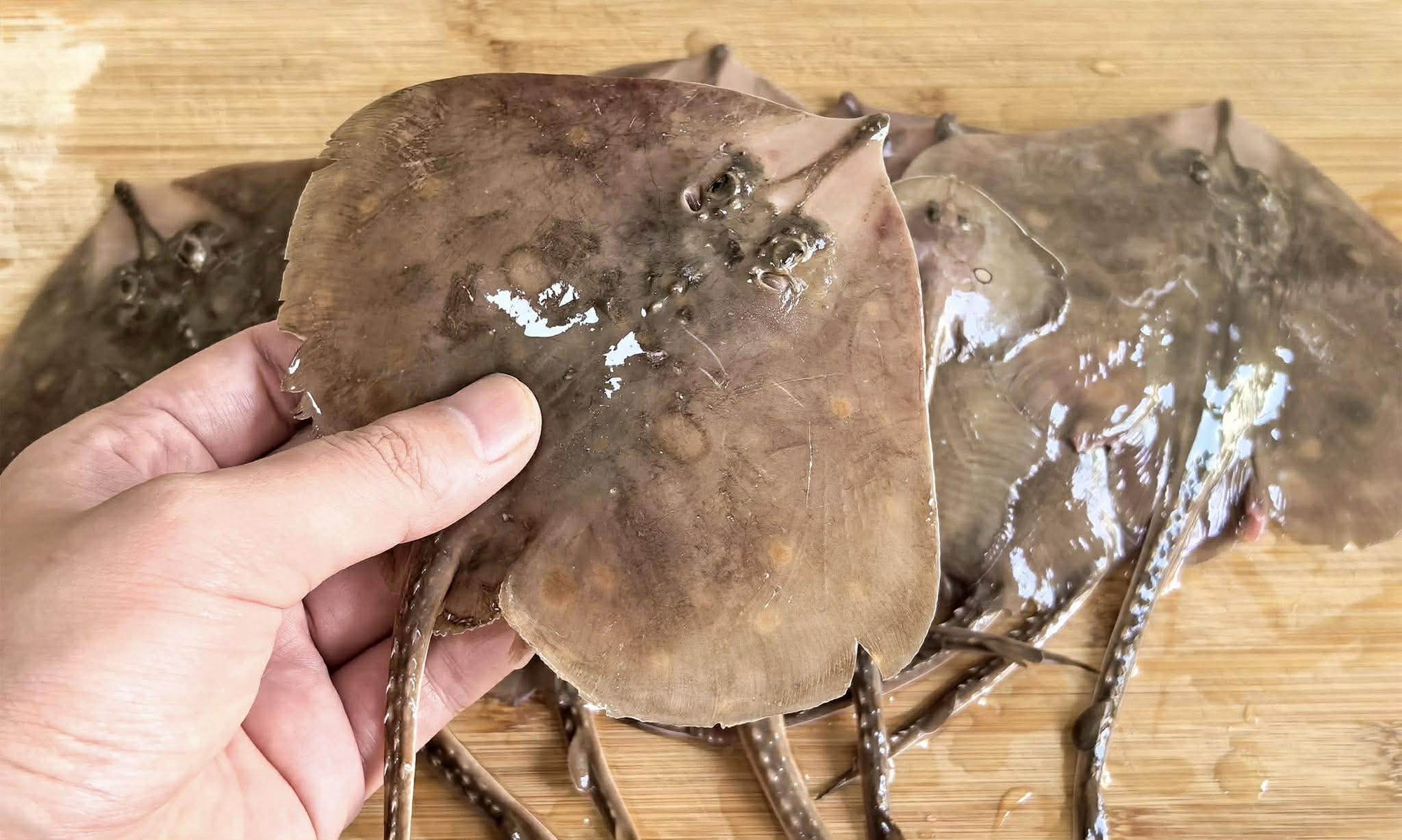 4 loại cá ngon nhất lúc này dùng nấu 4 món ăn cực thỏa mãn vị giác lại tốt để bồi bổ sức khỏe- Ảnh 5.