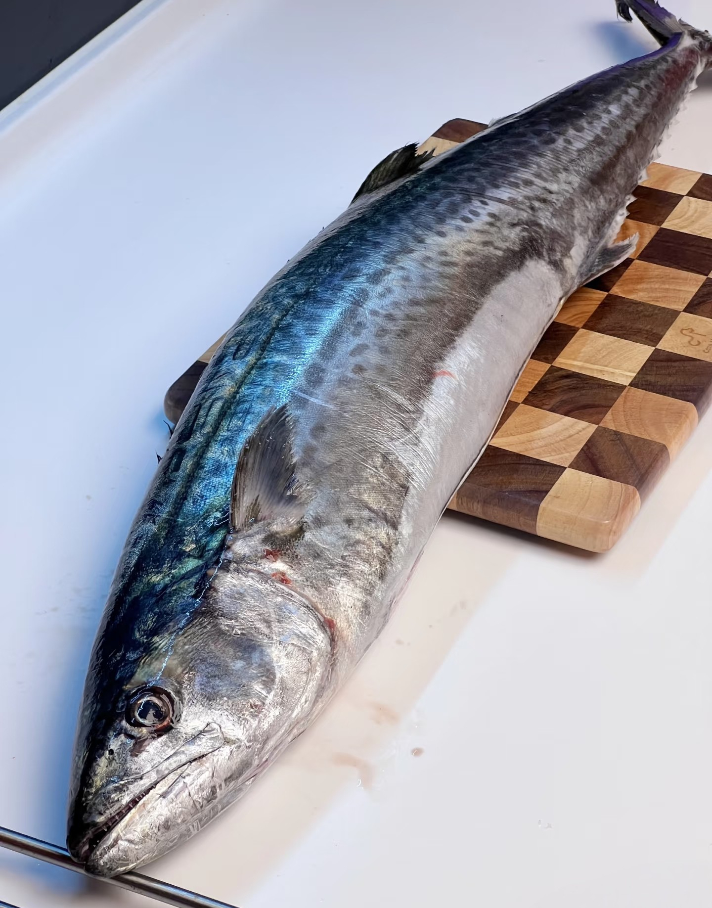 Chọn ngay 3 loại "hải sản quốc dân" này, đảm bảo sạch 100%, thịt ngọt lừ, trẻ con người già ăn đều tốt- Ảnh 5.