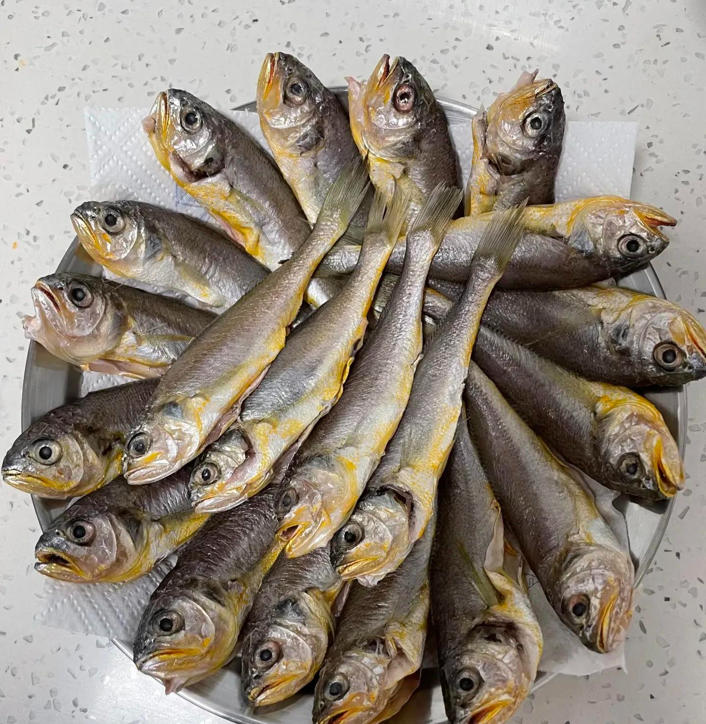 Chọn ngay 3 loại "hải sản quốc dân" này, đảm bảo sạch 100%, thịt ngọt lừ, trẻ con người già ăn đều tốt- Ảnh 3.