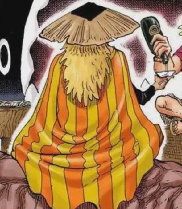 Sai lầm này trong One Piece đã đánh lừa người hâm mộ hơn một thập kỷ- Ảnh 1. Sai lầm này trong One Piece đã đánh lừa người hâm mộ hơn một thập kỷ- Ảnh 1.