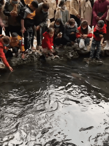 H&agrave;ng vạn người đổ về suối c&aacute; thần ở Thanh H&oacute;a đầu năm mới bởi sức h&uacute;t từ những c&acirc;u chuyện huyền b&iacute;- Ảnh 10.