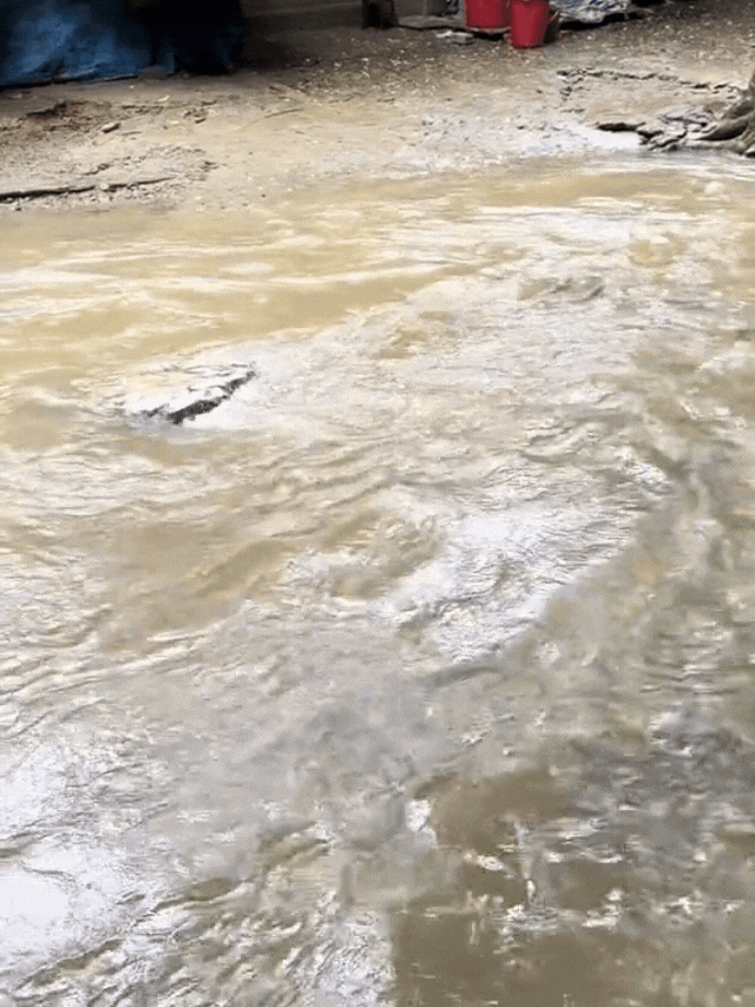 H&agrave;ng vạn người đổ về suối c&aacute; thần ở Thanh H&oacute;a đầu năm mới bởi sức h&uacute;t từ những c&acirc;u chuyện huyền b&iacute;- Ảnh 6.