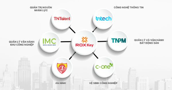 ROX Key củng cố nội lực để bứt phá trong năm 2025- Ảnh 1.