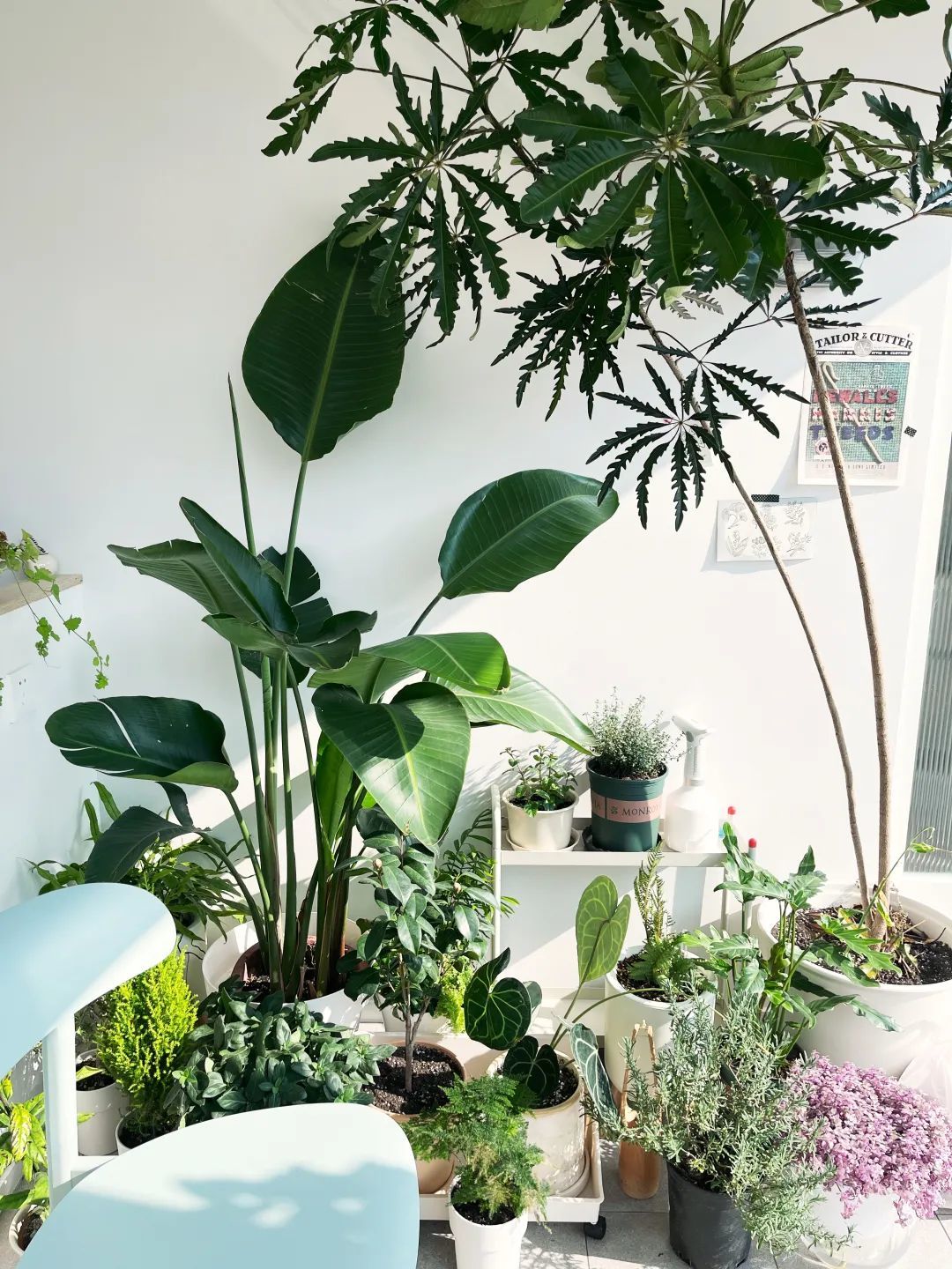 Căn hộ tối giản của cô gái sở hữu hơn 200 chiếc nồi và đảo bếp dài đến 2,2m- Ảnh 13. Căn hộ tối giản của cô gái sở hữu hơn 200 chiếc nồi và đảo bếp dài đến 2,2m- Ảnh 13.