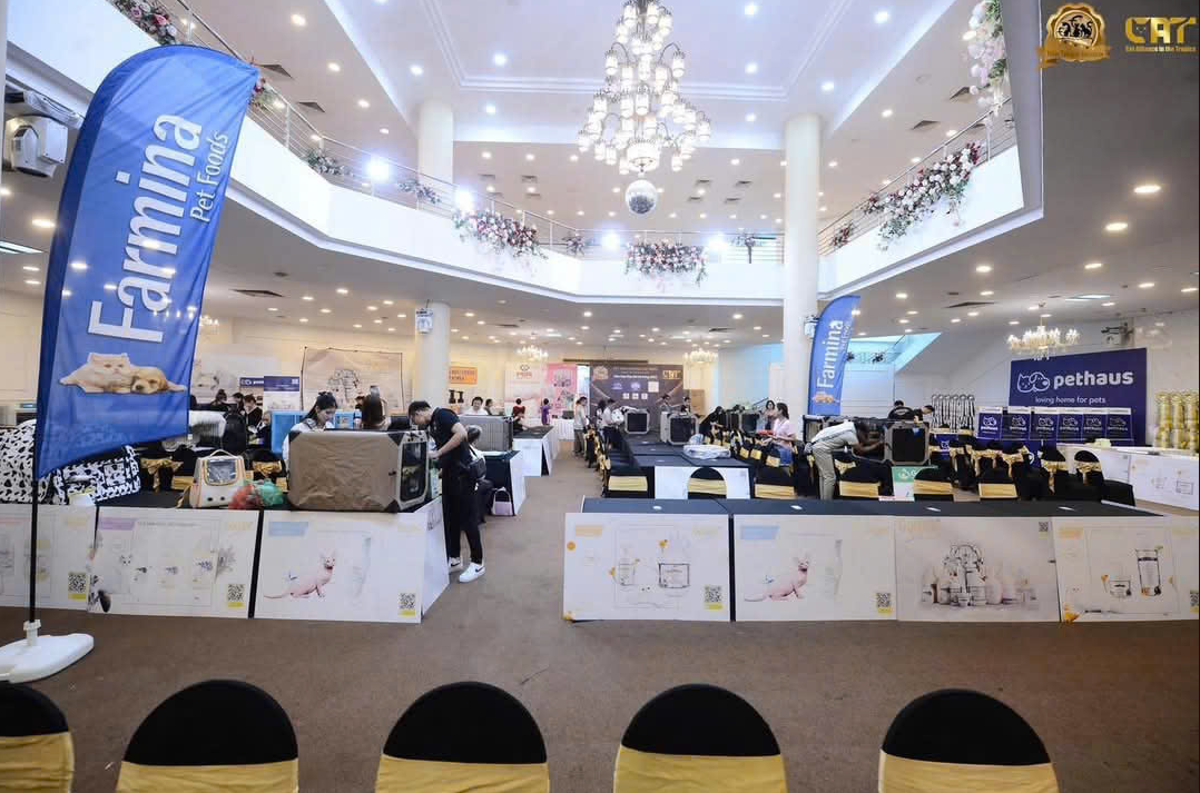 Cuộc thi Hoa hậu mèo quốc tế FFF 2025 lập quỹ hỗ trợ chó, mèo hoang- Ảnh 2. Cuộc thi Hoa hậu mèo quốc tế FFF 2025 lập quỹ hỗ trợ chó, mèo hoang- Ảnh 2.