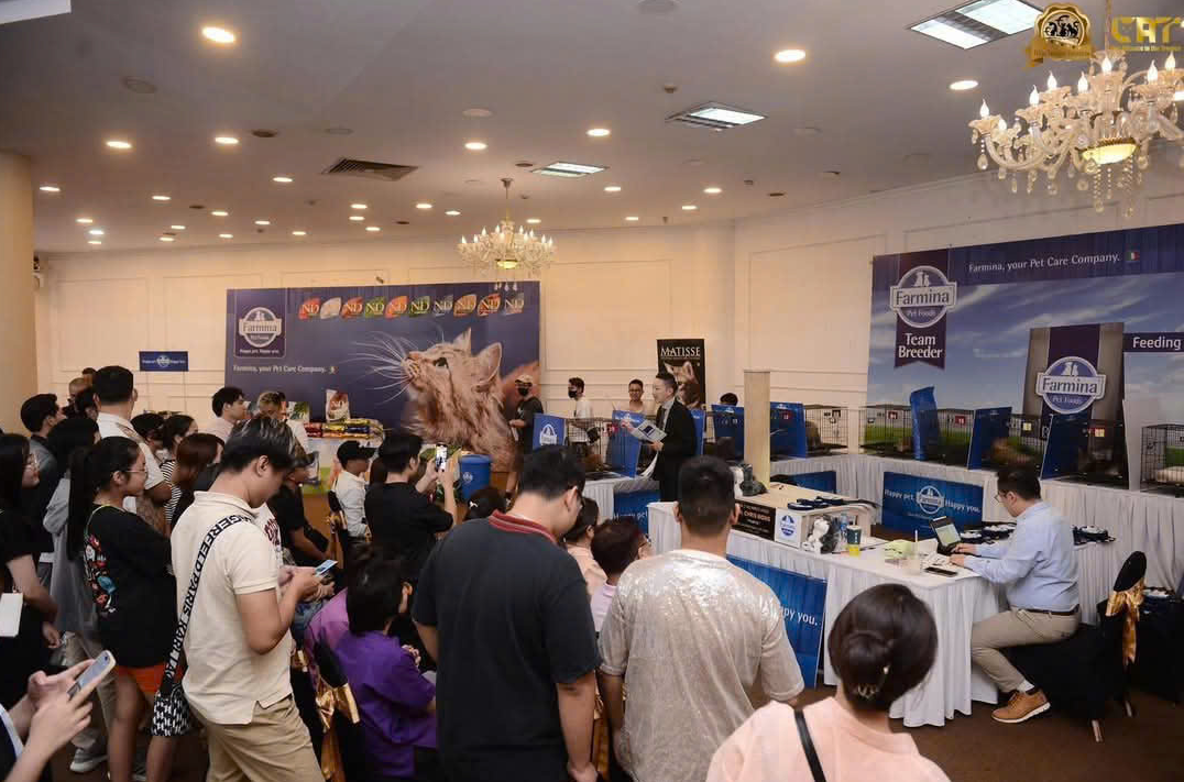 Cuộc thi Hoa hậu mèo quốc tế FFF 2025 lập quỹ hỗ trợ chó, mèo hoang- Ảnh 5. Cuộc thi Hoa hậu mèo quốc tế FFF 2025 lập quỹ hỗ trợ chó, mèo hoang- Ảnh 5.