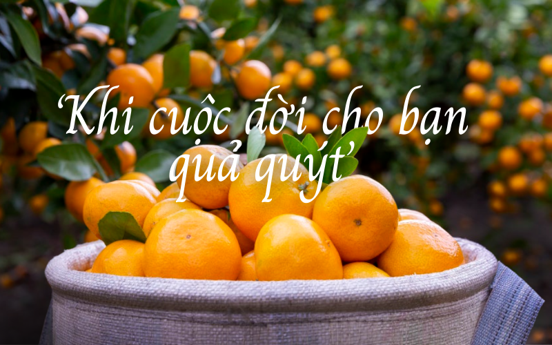 Quýt sẽ ngon hơn khi bạn biết cách ăn: Chuyện về đặc sản đảo Jeju qua bộ phim "Khi cuộc đời cho bạn quả quýt"- Ảnh 1. Quýt sẽ ngon hơn khi bạn biết cách ăn: Chuyện về đặc sản đảo Jeju qua bộ phim "Khi cuộc đời cho bạn quả quýt"- Ảnh 1.