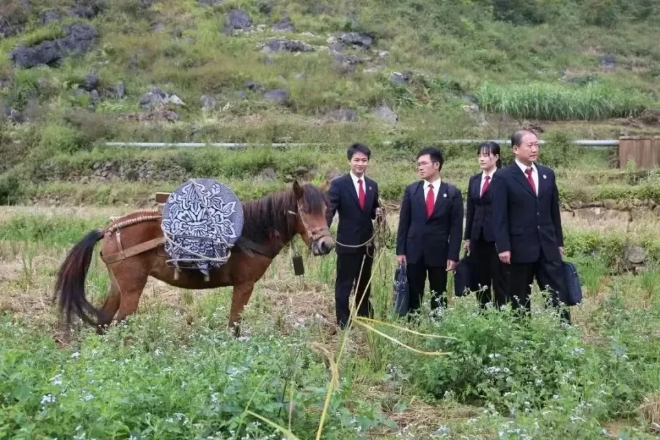 Phim thất bại ê chề vì chỉ bán được 1 vé, netizen mỉa mai "diễn tốt nhất là con ngựa"(!?)- Ảnh 3. Phim thất bại ê chề vì chỉ bán được 1 vé, netizen mỉa mai "diễn tốt nhất là con ngựa"(!?)- Ảnh 3.